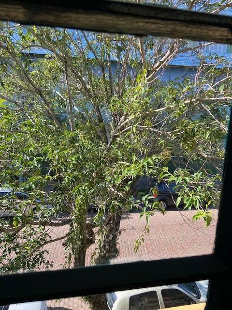 Apartamento, 4 quartos, 200 m² - Foto 21