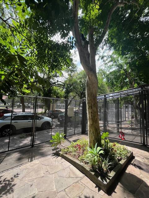 Loja-Salão, 39 m² - Foto 2