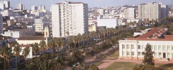Apartamento à venda com 2 quartos, 119m² - Foto 9