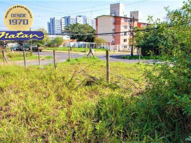 #11249 - Terreno para Venda em Porto Alegre - RS - 1