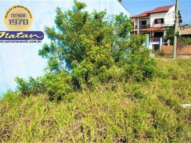 Terreno para Venda em Porto Alegre - 4