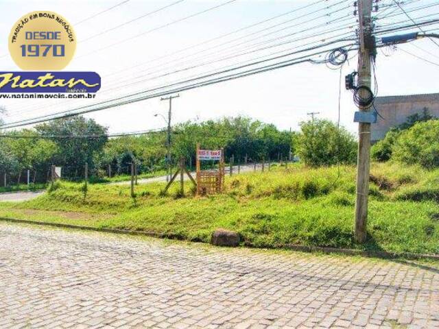 #11249 - Terreno para Venda em Porto Alegre - RS - 2