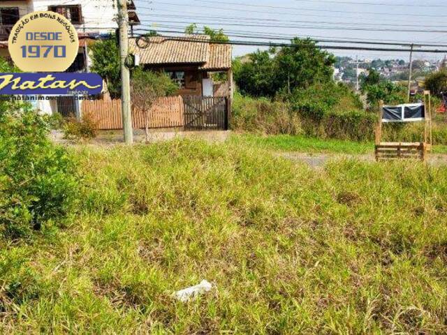 Terreno para Venda em Porto Alegre - 5